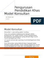 Model Konsultan