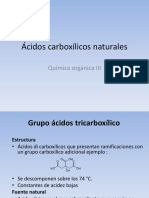 Acidos Carboxilicos_Altamirano