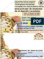 Curso Verano Anato