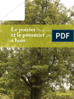 Fiche Pomier