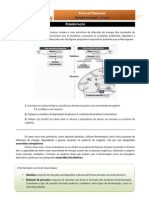 BioGeo10 Ficha de Trabalho 21-Fermentação