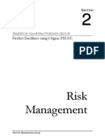 risk management.pdf