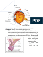 Keratitis