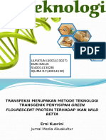 Bioteknologi