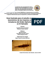 Guía de insectos acuáticos Ephemeroptera de El Salvador