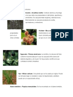 Plantas medicinales más comunes.docx