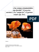 estudio sobre las carpas doradas.pdf