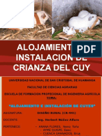 Crianza de Cuy Exposicion