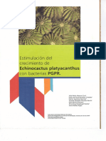 Estimulación del crecimiento de Echinocactus platyacanthus con bacterias PGPR