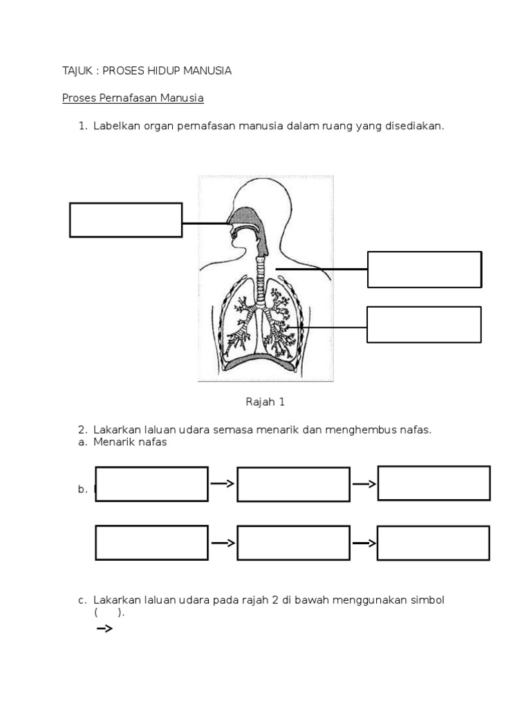 Modul Pernafasan Manusia Pdf