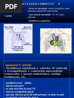 Cardiac-curs