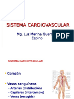 fisiologia cardiaca