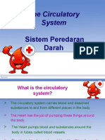 Sistem Peredaran Darah Manusia Sci