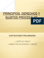 Principios, Derechos y Sujetos (2) (1)