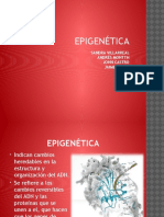 Epigenetica Diapositiva 1