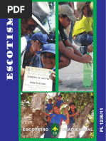 ESCOTISMO TRADICIONAL