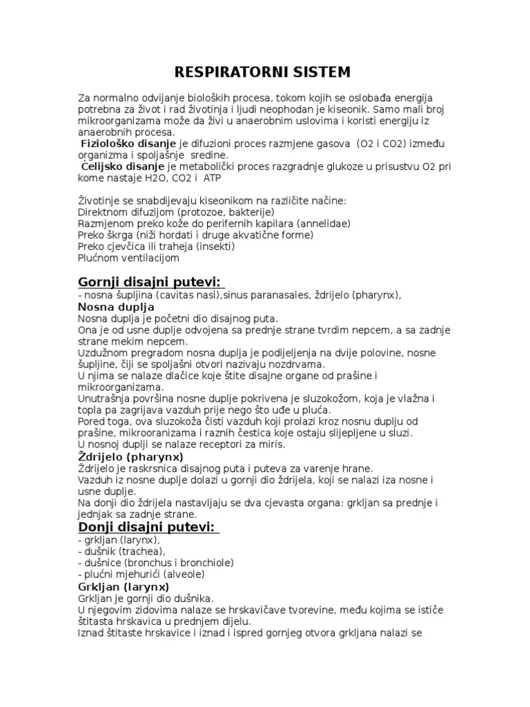 Respiratorni Sistem | PDF