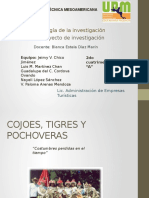 Cojoes, Pochoveras y Jaguares