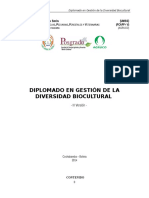 Proyecto y Modulos Diplomado