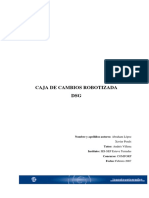 Caja_DSG_07.pdf