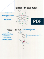 23 - Metabolismo Del Grupo Hemo PDF