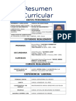 Curriculum Pedro Rafael Paez Colina