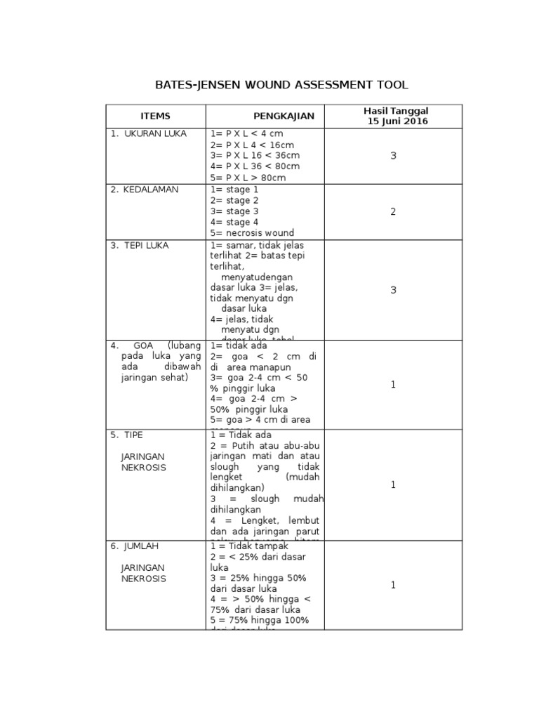 Bates-Jensen Wound Assessment Tool | PDF