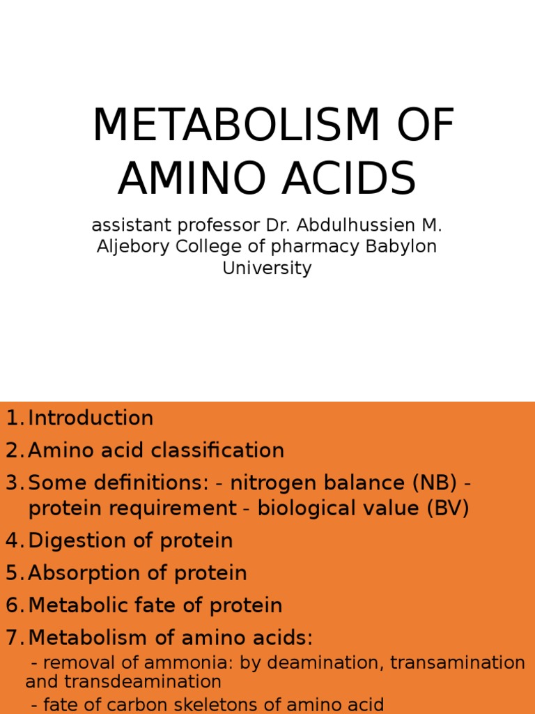 Amino Acid Metabolism Overview | PDF | Wellness