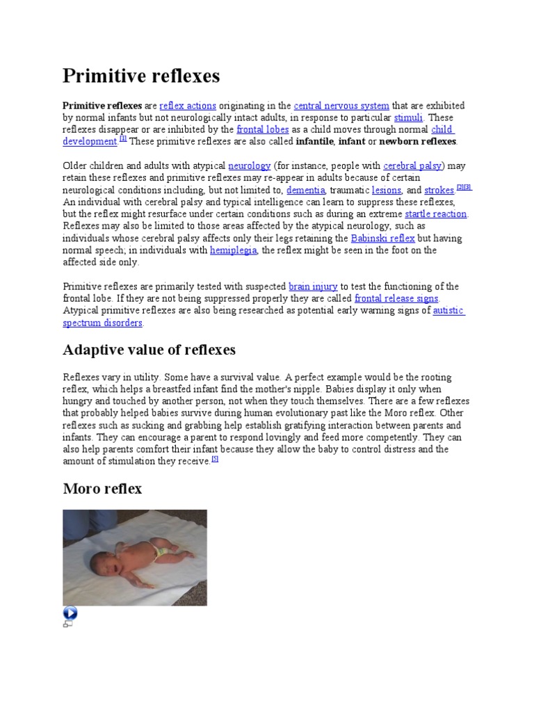 Primitive Reflexes | PDF | Reflexes | Nervous System