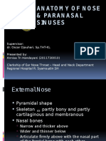 Anatomy of the Nose At