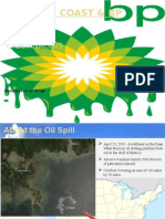 BP Oil Spill Impact Gulf Coast Tourism