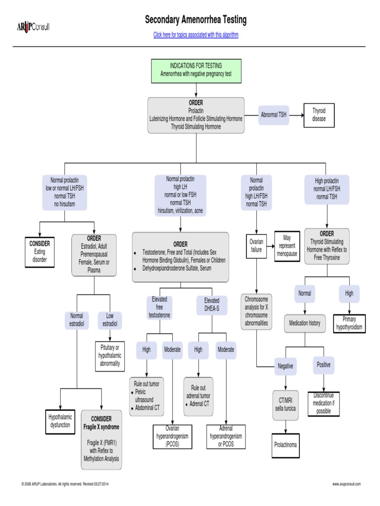 Secondary Amenorrhea Testing Algorithm Pdf Polycystic Ovary