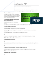 Idioms and Phrases Capsule - PDF