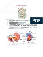 Embriologia Sistema Digestorio
