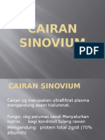 060114 - Cairan Sinovium - Dr. Saud