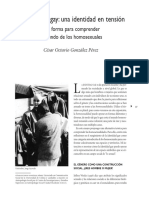 identidades gay en tension.pdf