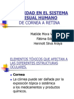 Toxicidad en El Sistema Visual Humano