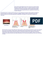 La Periodoncia