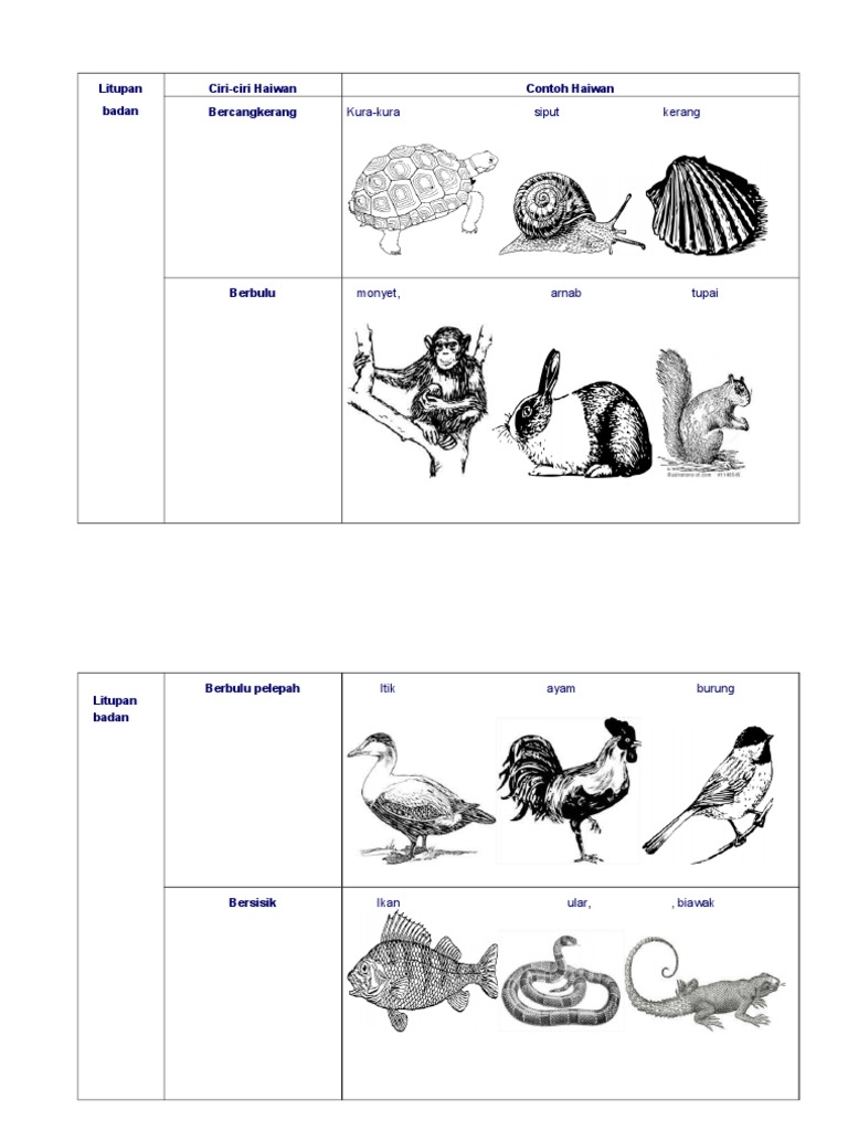 Ciri Ciri Haiwan Sains Tahun 3 Pdf
