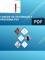 Cancer de Estomago y Proteína p53