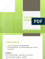 Conciencia e Inteligencia