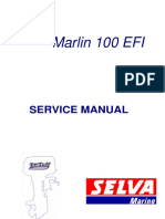 Yamaha 100 EFI
