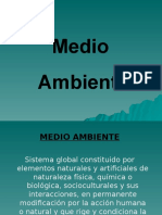 MEDIO AMBIENTE