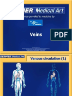 Veins: A Service Provided To Medicine by