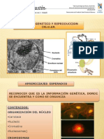 Herencia y Adn