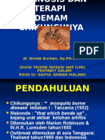 Demam Chikungunya