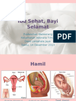 Ibu Sehat, Bayi Selamat, Rev. KIA, & 2H2 C Plus_Lamahala Jaya