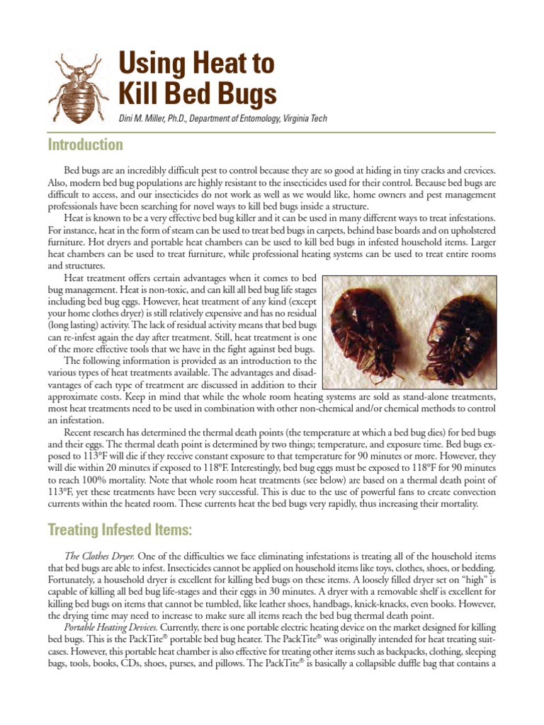 Using Heat to Kill Bedbugs Clothes Dryer Hvac