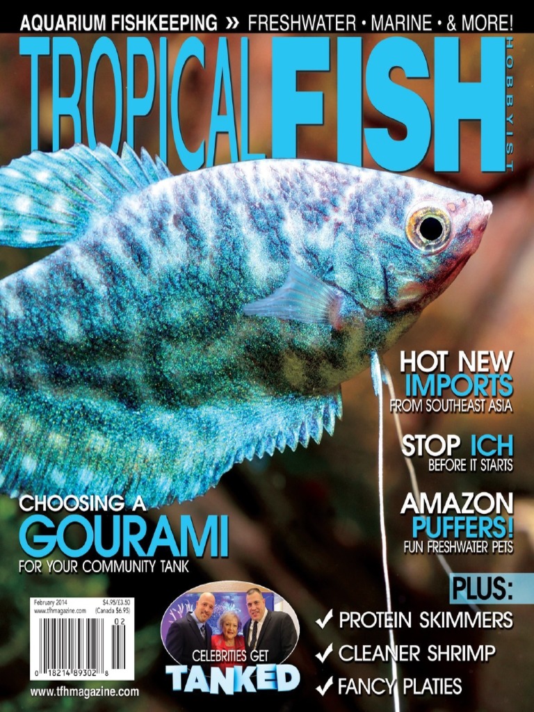 Tropical Fish Hobbyist Magazine February 2014 Animals Kept As Pets