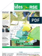 Suplemento RSE Diario de los Andes (Venezuela) Mayo 2010